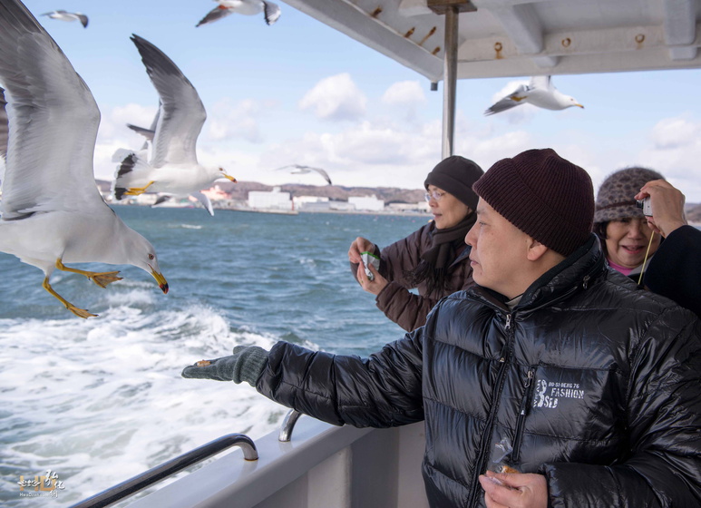 參訪日本三景之一松島-莊嚴法師於船上餵食海鷗.jpg